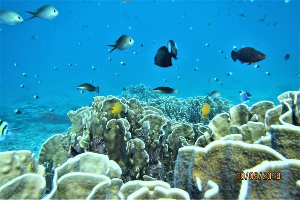 Pulau Weh Paradise Sabang  Esterno foto